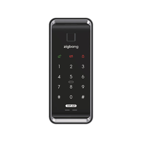 Samsung Zigbang SHS-1321 Digital Door Lock and Igloohome RM2 Gate Lock Bundle